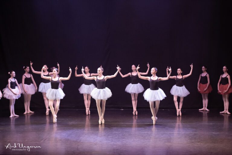 צילום מופעי ריקוד ותרבות צילום מופעי ריקוד ותרבות