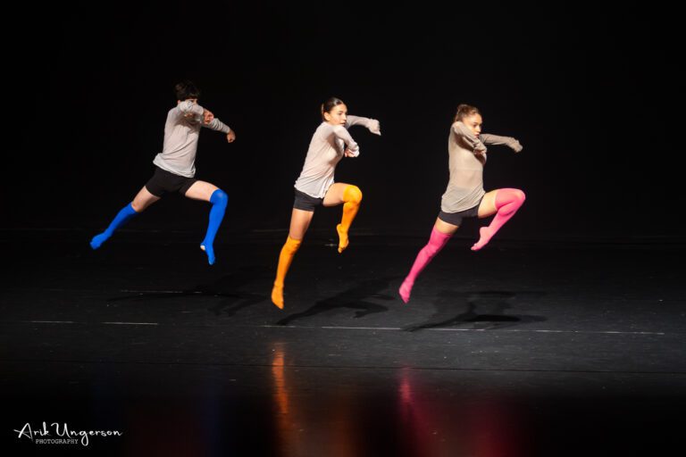 צילום מופעי תרבות צילום מופעי תרבות