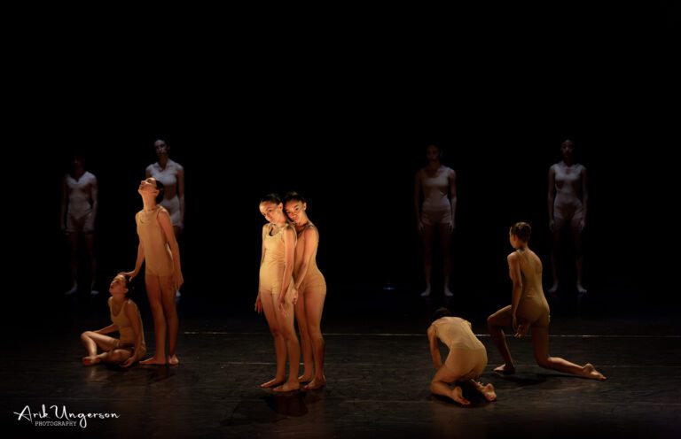 צלם מופעי תרבות צלם מופעי תרבות